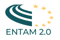 Logo ENTAM 2.0