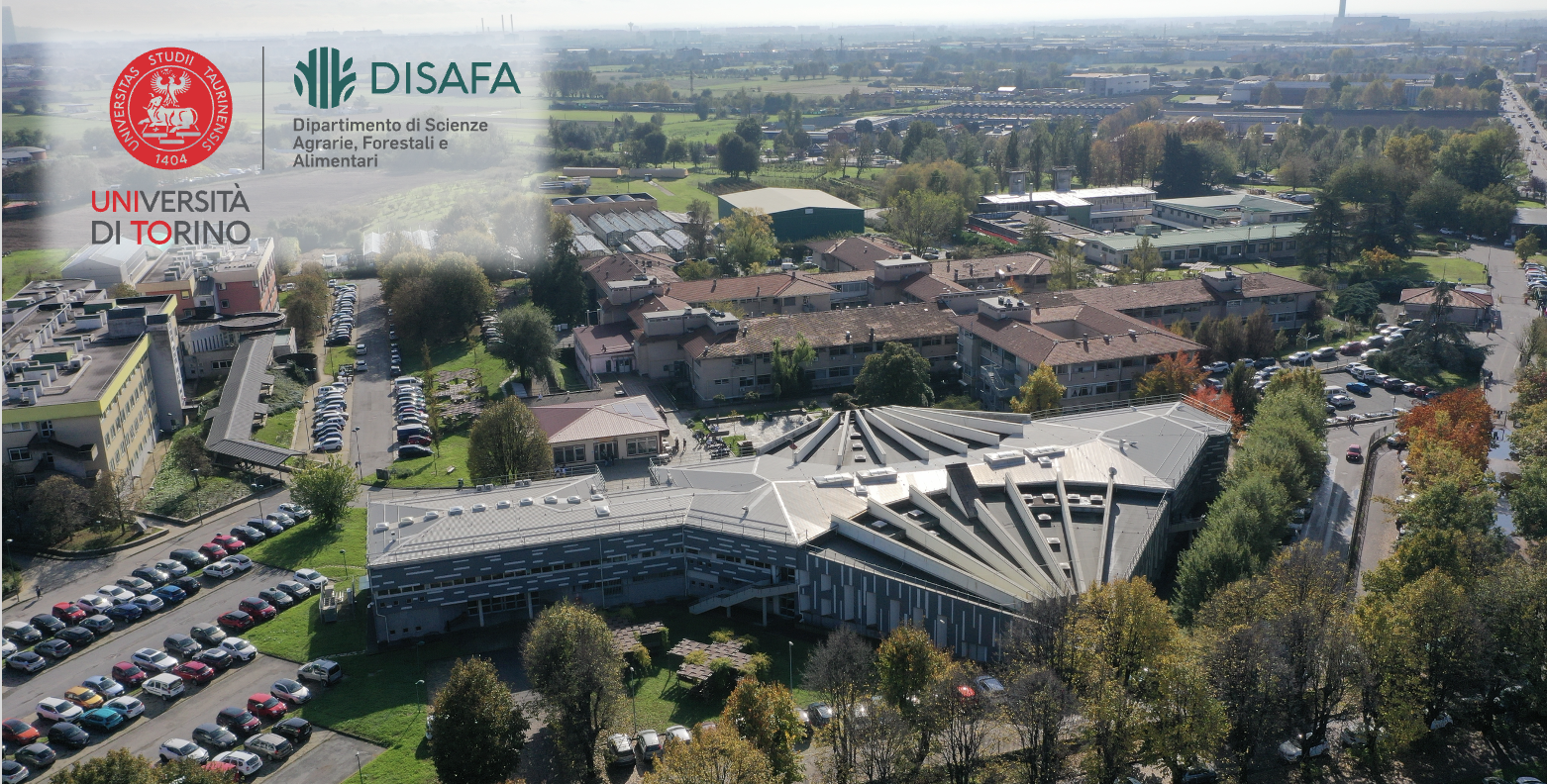 disafa vista aerea
